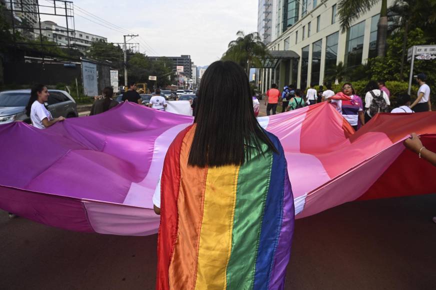 Propuesta para legalizar matrimonio igualitario desata ´guerra´ de opiniones en Honduras