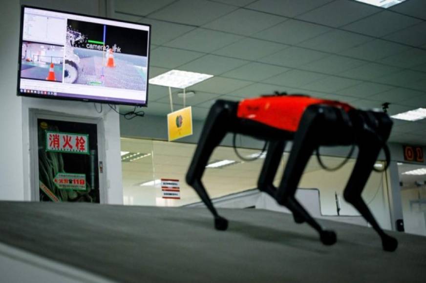 Con el tiempo, los creadores del perro-robot se proponen ponerlo al servicio de los ciegos. 'Cuando tenga la función de diálogo, podrá comunicarse con los discapacitados y llevarlos al supermercado o a la parada de autobús', añade Ma Jie.