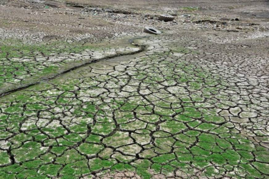 Hay colonias de Tegucigalpa y Comayagüela en los que pasan más de 15 días sin poder recibir agua potable. La fotografía muestra la sequía en la represa.