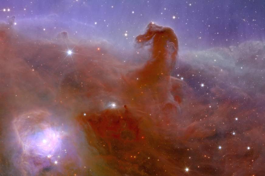Las primeras imágenes del telescopio espacial europeo <b>Euclid</b> difundidas este martes muestran una nebulosa con forma de cabeza de caballo, galaxias distantes nunca antes vistas y “pruebas circunstanciales” de la esquiva materia oscura