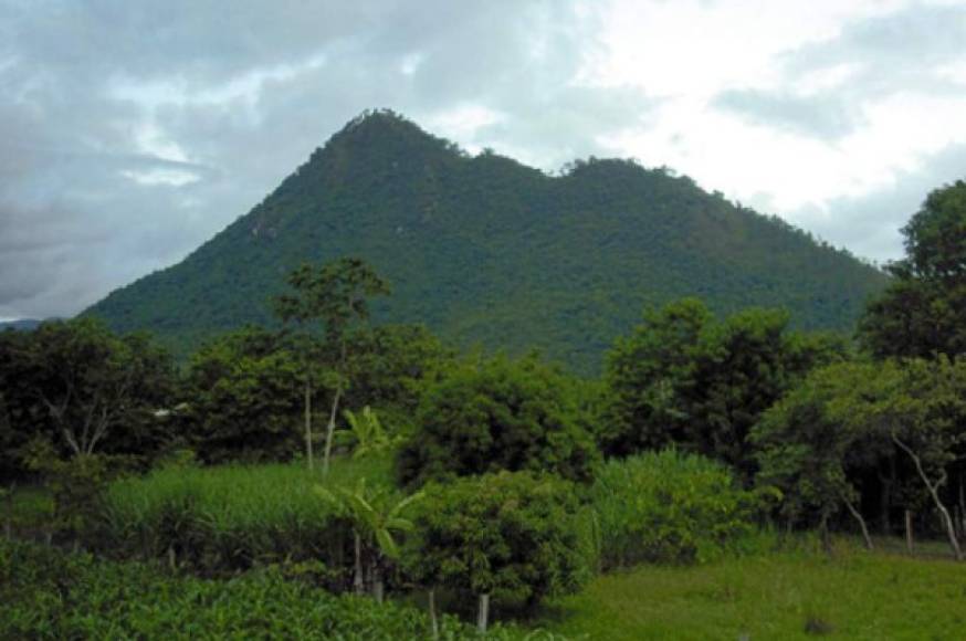 El Parque nacional Montaña de Yoro se estableció el 1 de enero de 1987 y cubre un área de 154,8 kilómetros cuadrados. Tiene una altitud de entre 1.800 y 2.245 metros.