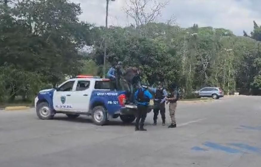 Capturan a brujo que tras matar a mujer se valía de conjuros y amarres para huir