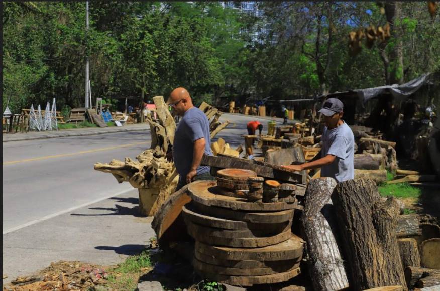 “En los bordos la gente bota la madera y uno la recoge. Aquí vienen camiones a botar madera y uno la trabaja”, dijo Ramón Cruz.