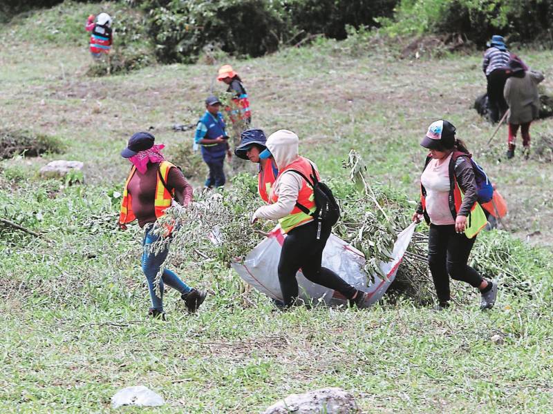 <b><span class=mln_uppercase_mln>Labor.</span></b> Empleados capitalinos limpian el predio.