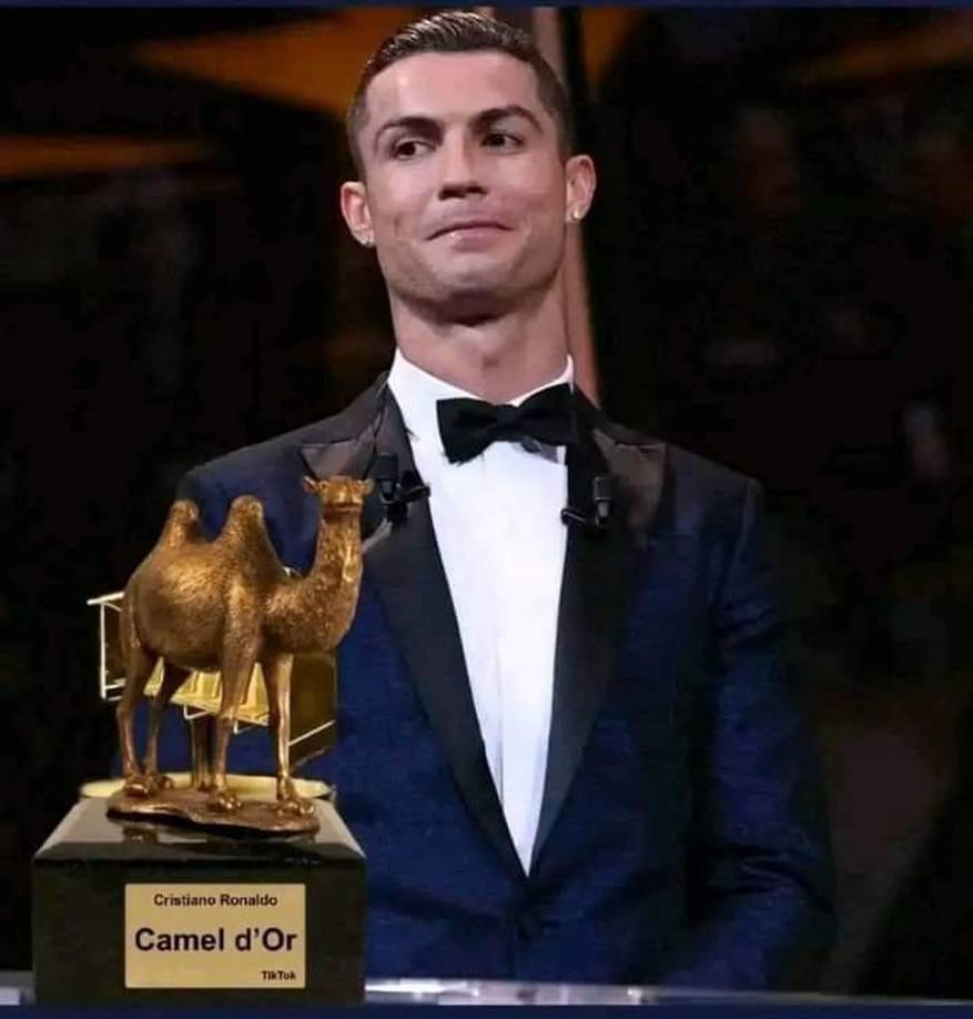 Este galardón vendría a ser una “cruel” réplica del “Balón de Oro” y fue lanzado con el único objetivo de enfurecer a Cristiano.