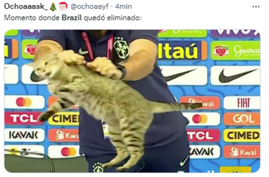 Los memes destrozan a Brasil tras eliminación: “La maldición del gato”