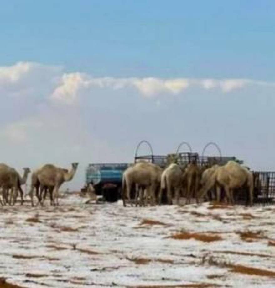 Lo que resultó en las raras condiciones invernales en la región.