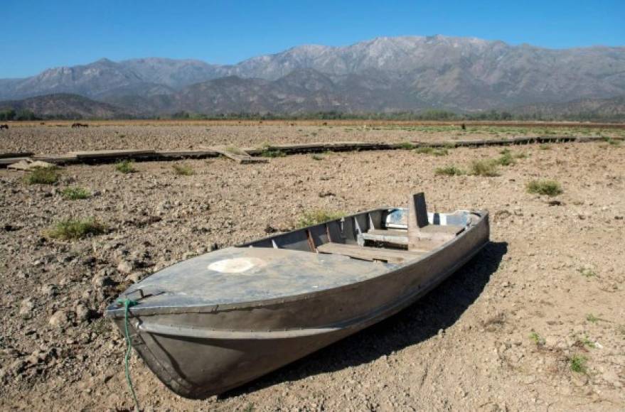 La laguna Aculeo, por décadas una de las principales atracciones turísticas del centro de Chile, desapareció por completo tras una fuerte sequía en la región por el cambio climático y el excesivo consumo de su agua.