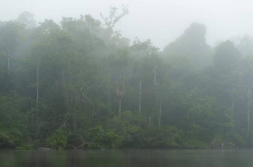 - 34 millones de habitantes<br/><br/>La Amazonía es una región virtualmente despoblada, pero aún así en ella viven 34 millones de personas, de las cuales un 60 % está concentrada en polos urbanos, como la ciudad brasileña de Manaus, que tiene 2 millones de habitantes.