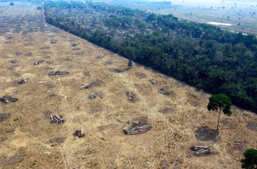 Imágenes aéreas muestran la gigantesca devastación causada por el fuego en la Amazonía brasileña.