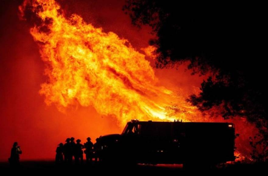 Y es que una de las peores olas de calor ha provocado devastadores incendios forestales en la costa oeste de Estados Unidos, cobrando decenas de vidas y destruyendo los hogares de miles de personas en California, Washington y Oregon.