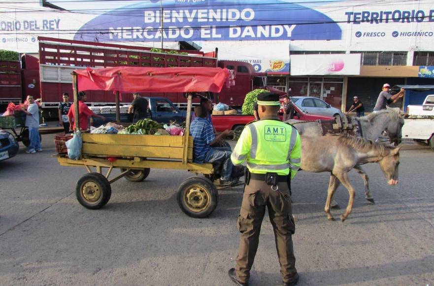 La alcaldía de San Pedro Sula comenzó este viernes a levantar un censo para registrar carretas que circulan por la ciudad. 
