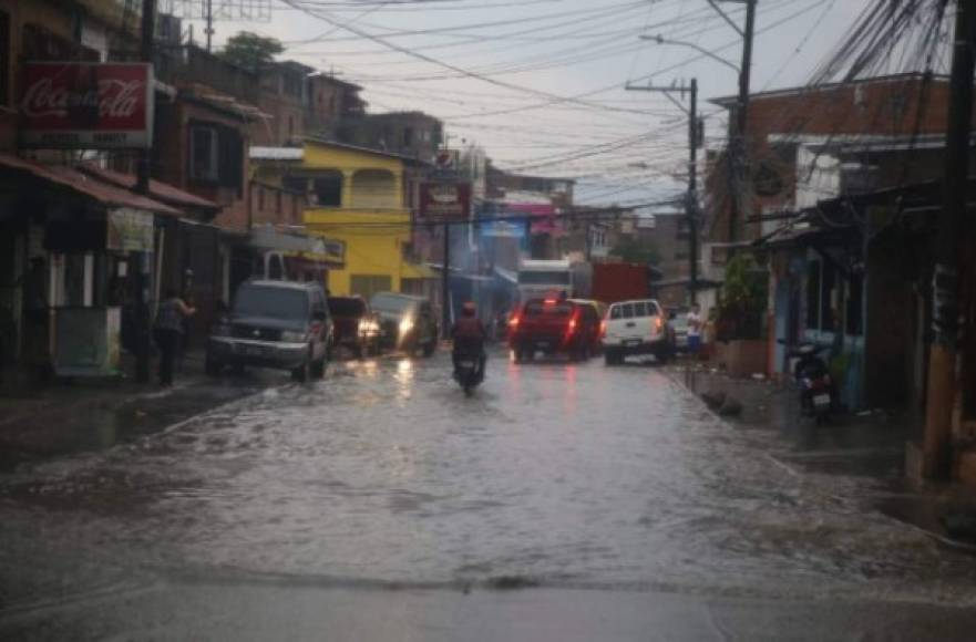 La lluvia con fuertes vientos derribó un árbol sobre un vehículo cerca del Instituto San Francisco en El Country en Comayagüela.