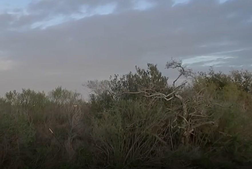 El Monstruo de Galveston: raptó y abusó de niña de 12 años que paseaba su perro