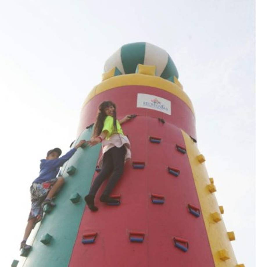 De igual manera cuenta con el respaldo y apoyo permanente de la Organización Panamericana de la Salud y Organización Mundial de la Salud (OPS/OMS), organismos que lo han calificado de ejemplar y único, digno de ser imitado por otros países.