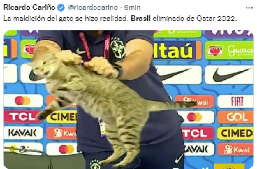 Los memes destrozan a Brasil tras eliminación: “La maldición del gato”