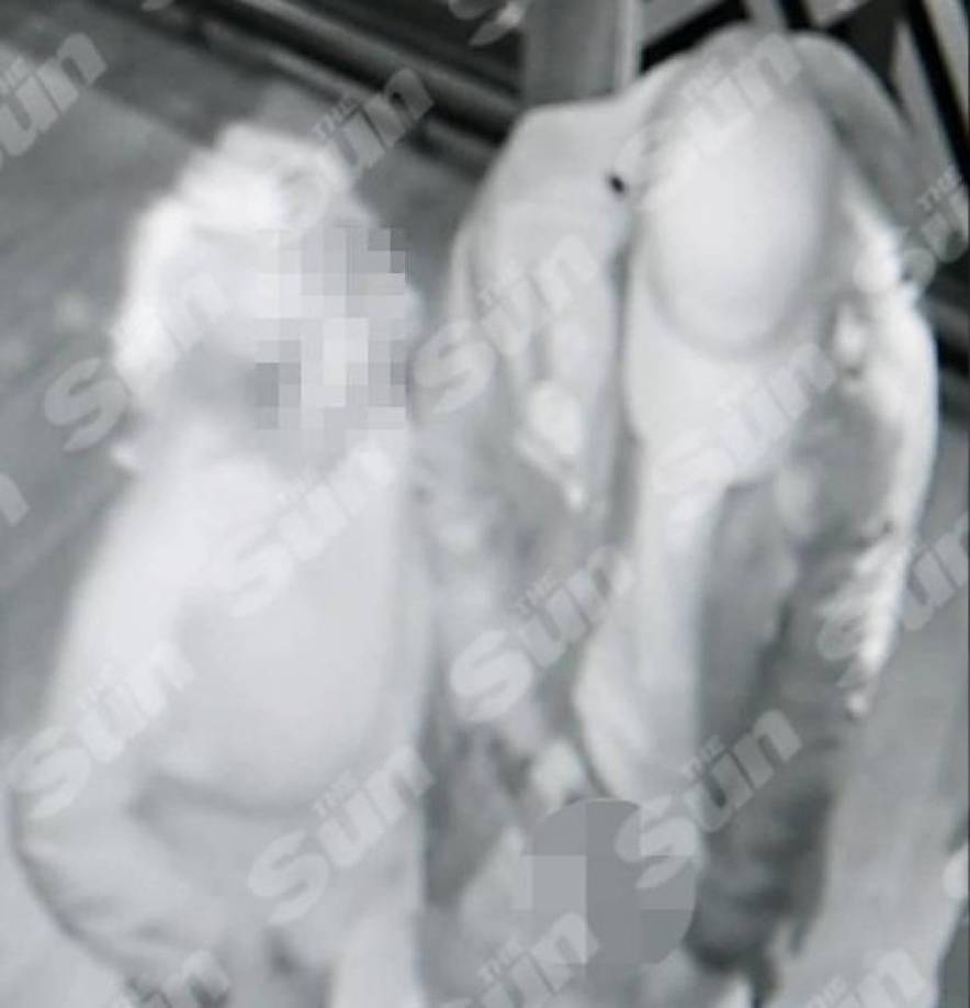 En una de las partes de la grabación de las cámaras de seguridad del bar, se puede ver como Walker se baja los pantalones en un par de ocasiones y muestra sus genitales.