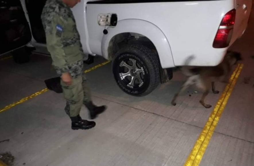 Para la inspección del vehículo se utilizaron varios canes que alertaron del insólito hallazgo a las autoridades.