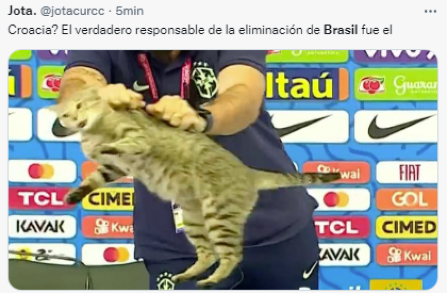 Brasil cayó en la tanda de penales ante Croacia, pero para muchos el gato fue uno de los responsables de su derrota.