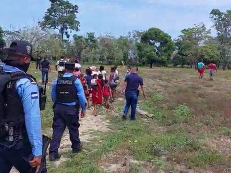 Los invasores se apropiaron de más de 90 manzanas de tierra cultivada con palma africana.