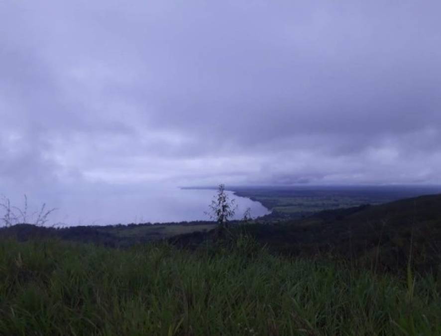 En Izabal, la Unidad de Extinción de Dominio entregó este jueves a la Senabed una finca ubicada en Boca Ancha, la cual está a nombre de la entidad Plantas de Exportación S.A. y también vinculada con el exmandatario, según Prensa Libre.