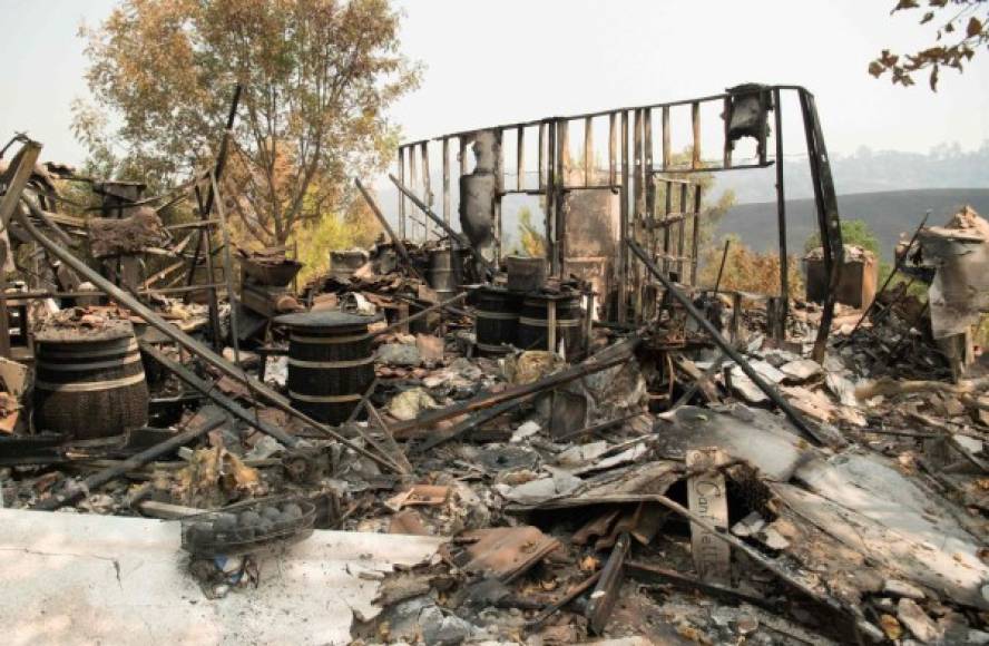 Los incendios forestales han afectado en gran medida a la región vinícola de Napa y otros condados, como el de Sonoma y Solano.