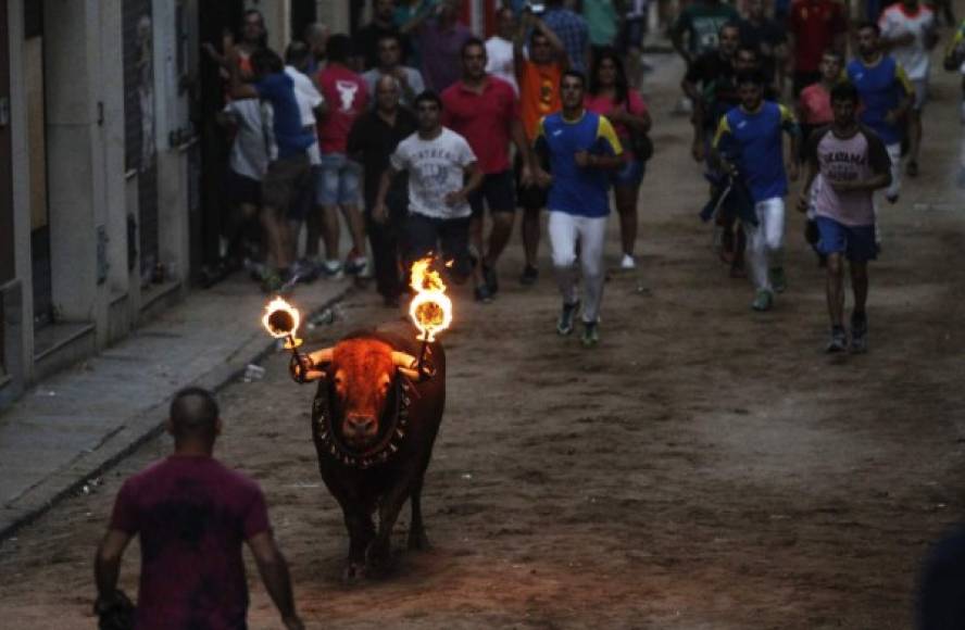 España. Un “toro embolao” se enfrenta a un participante en las fiestas patronales de la localidad valenciana de Meliana.