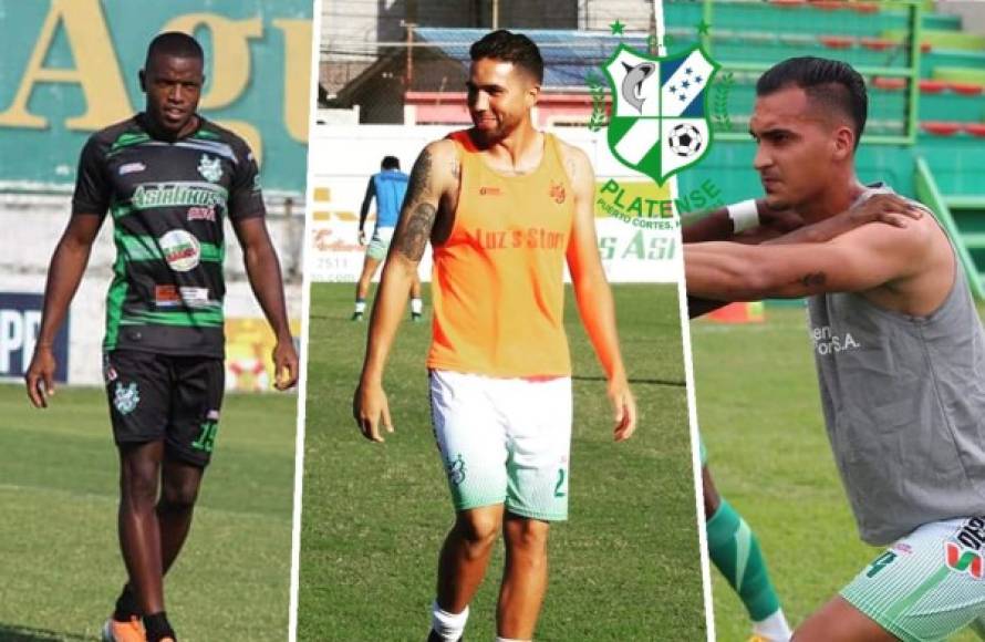 En el Platense se viene barrida de cara al próximo campeonato. Los futbolistas colombianos Sergio Murillo, Mateo Zapata y Aldair Simanca Peña no seguirán en el Tiburón, informó Diario Diez.