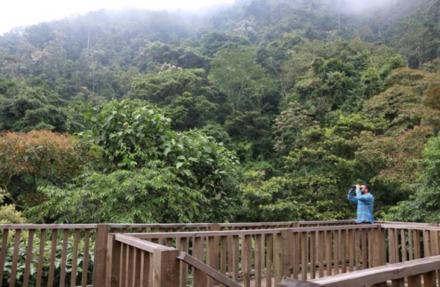 Un excelente lugar para ver aves, observar el lago de Yojoa desde un punto poco conocido y aprender un poco sobre las etnias pre-colombinas que habitaron en Honduras, es el mirador de Panacam, en el cual también podrán observar sitios arqueológicos y panorámicas del paisaje extremadamente maravillosas. <br/>