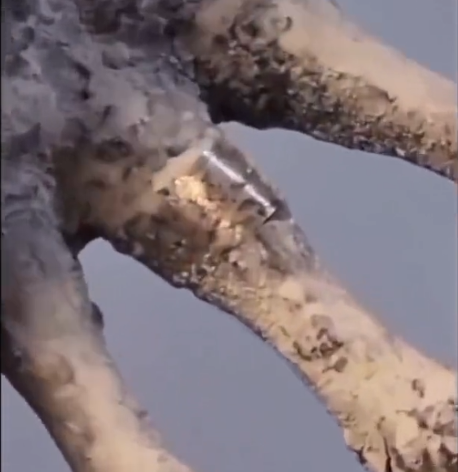 EFE Verifica recibió una consulta a través de su canal de WhatsApp (+52 1 55 6166 24 82), sobre una publicación en X, antes Twitter, de la presentación de presuntos restos de “seres no humanos” en una audiencia en la Cámara de Diputados de México.