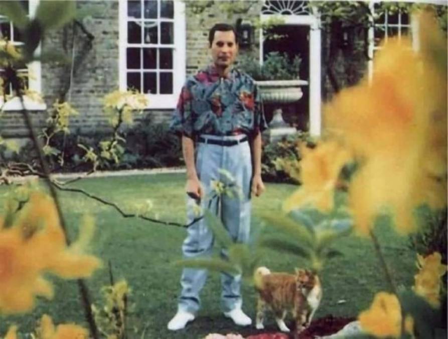 Las fotos de Freddie Mercury tomadas antes de su muerte