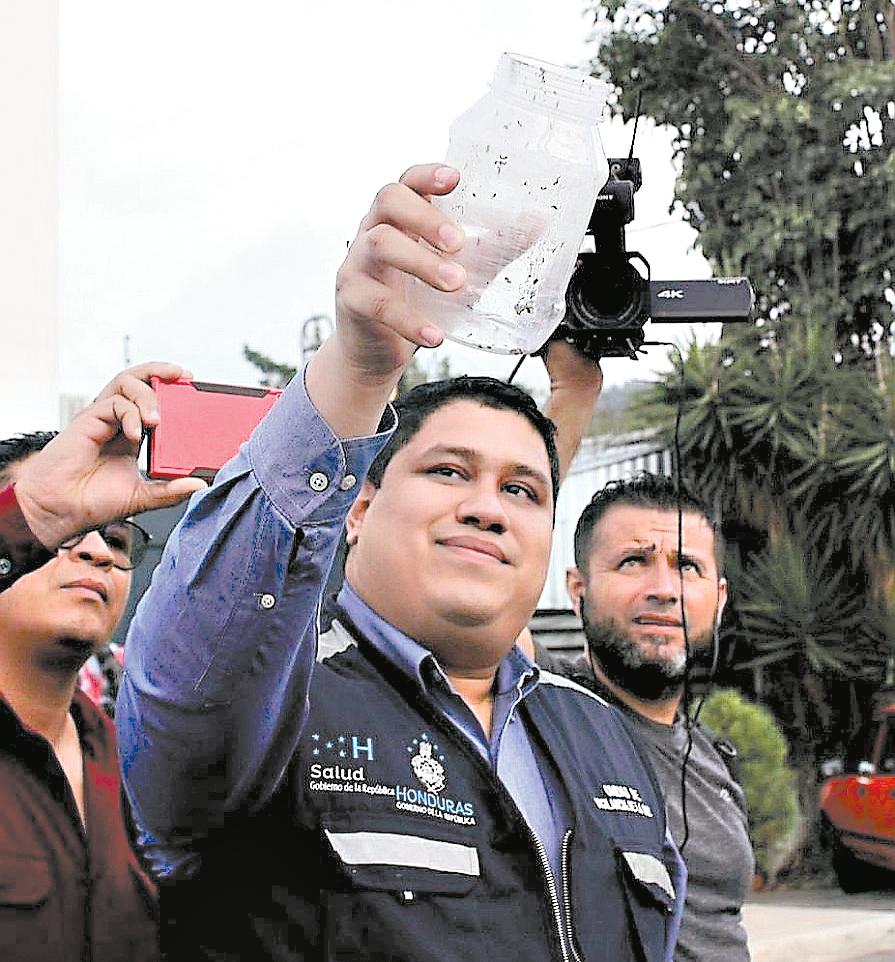 Sin dar resultados finaliza programa Wolbachia