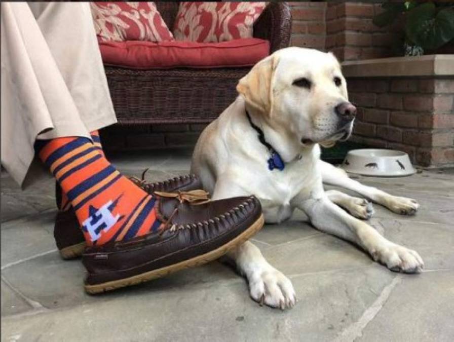 'Soy un hombre de calcetines', bromeaba el expresidente George Bush quien era conocido por sus coloridos calcetines que muchas veces escondían homenajes o solo motivos divertidos.