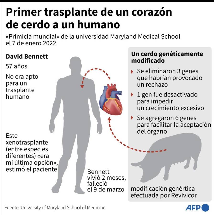 Muere el primer paciente que recibió un trasplante de corazón de cerdo