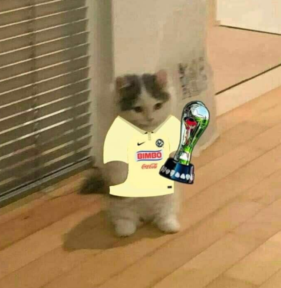 América-Tigres: Los jocosos memes que dejó la final de la Liga MX