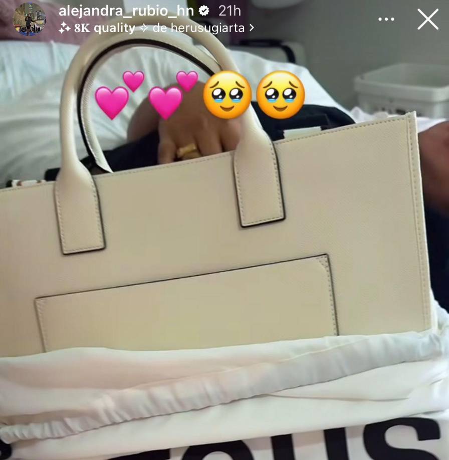 En otra de sus historias, Alejandra Rubio compartió un lujoso bolso regalado por su novio.