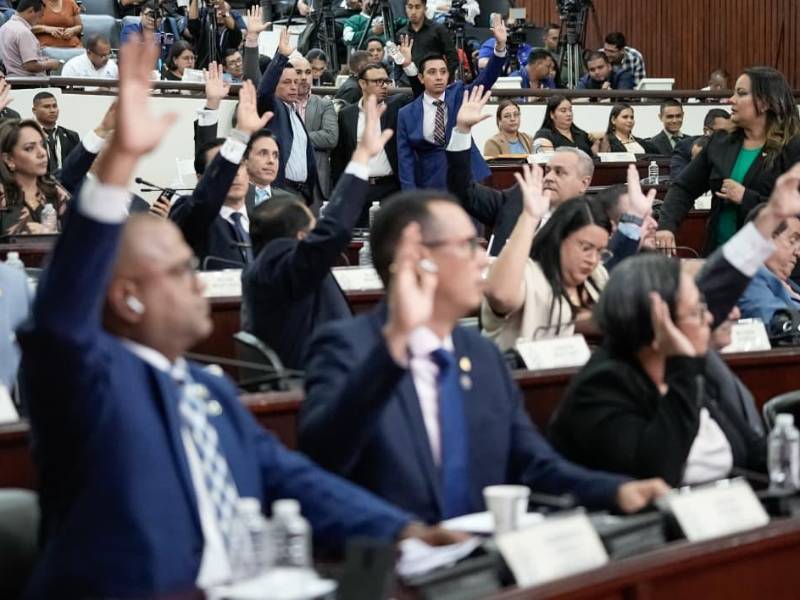 El Partido Nacional abre la puerta a respaldar la contrapropuesta liberal para destrabar la reforma energética.