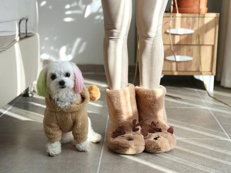 Para mascotas como perros y gatos, considere suéteres o mantas diseñadas específicamente para ellos.