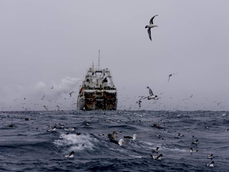 Algunos barcos han apagado sus dispositivos de rastreo públicos durante meses para pescar en áreas protegidas.