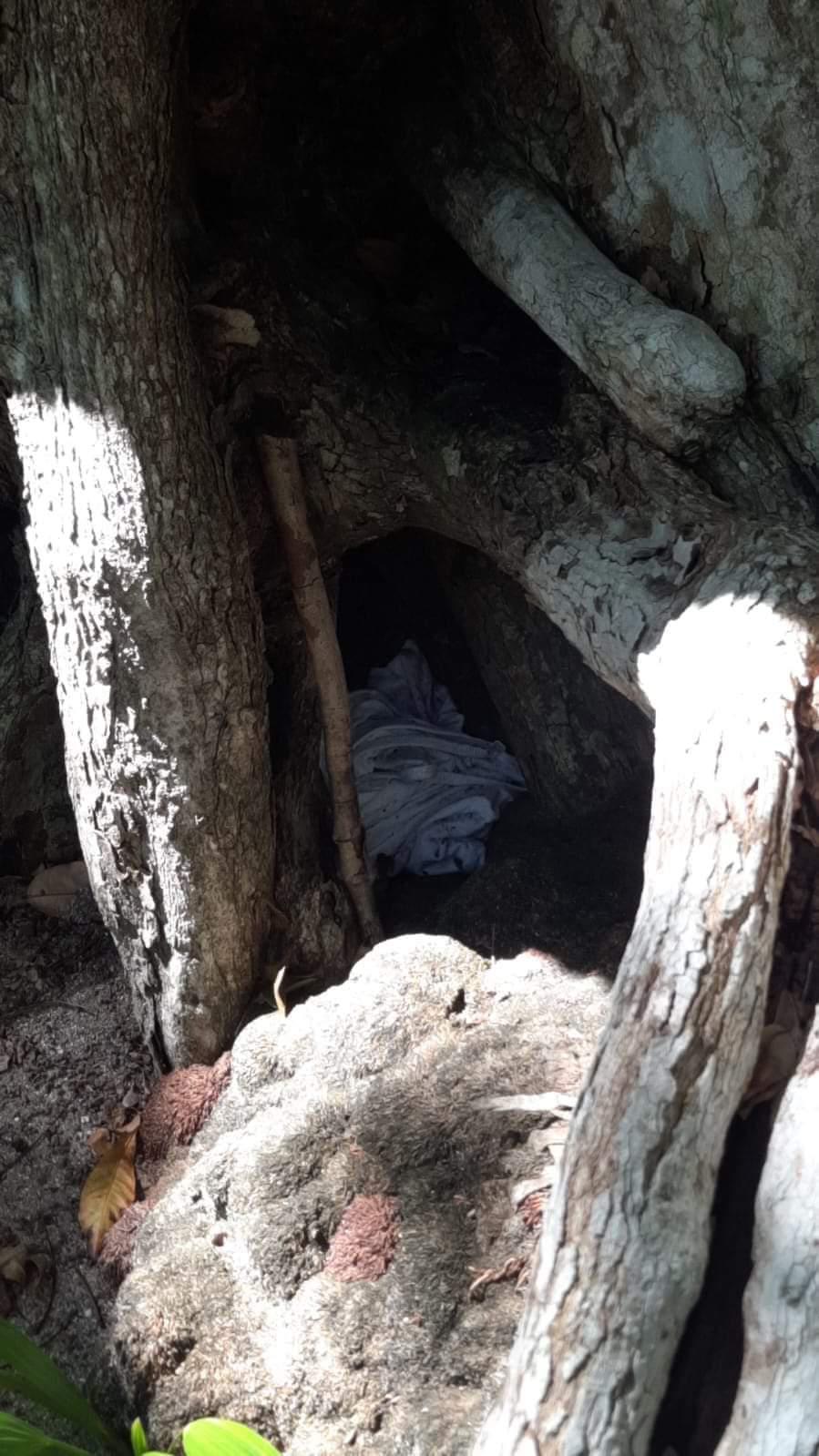 Hallan prendas que podrían ser de mujeres desaparecidas en Roatán