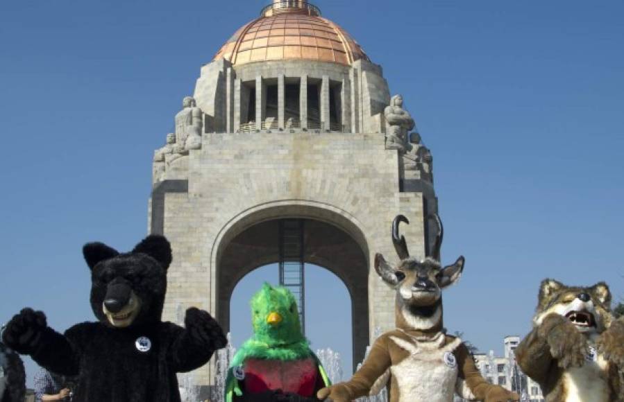 En Ciudad de México también se produjeron las manifestaciones en favor del medioambiente.