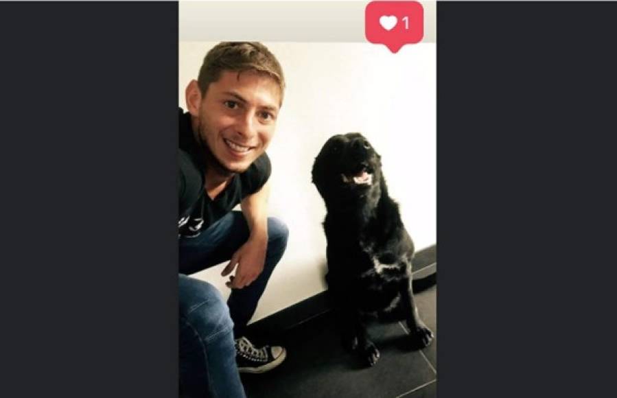 ¿Qué pasará ahora con Nala? La hermana de Emiliano Sala anunció en sus redes que la familia del futbolista se quedará con la perra.
