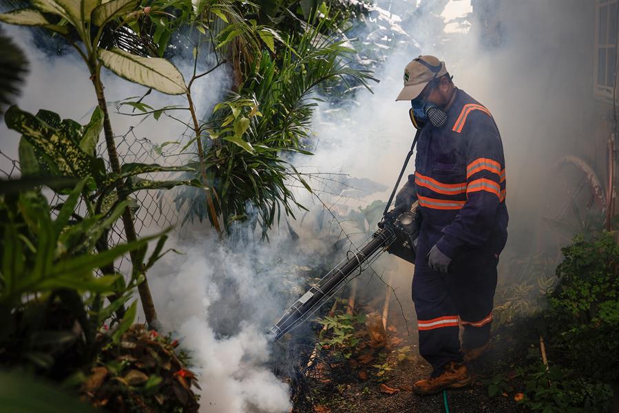 Más de 100 muertos por dengue en Centroamérica y el Caribe