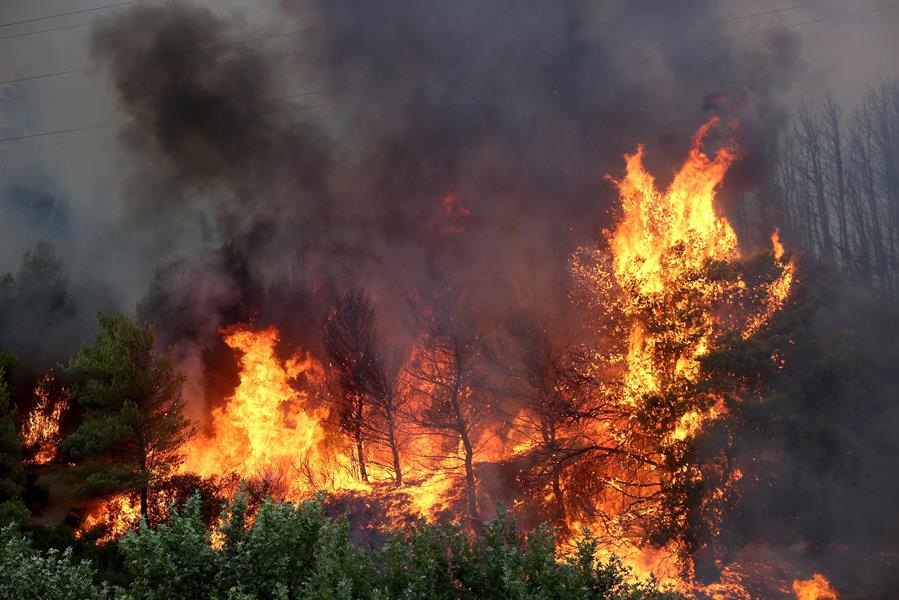 Honduras reporta 37 incendios que afectaron 490,6 hectáreas en enero