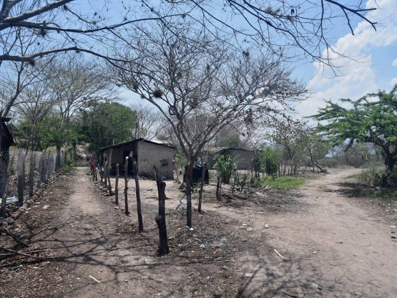 <b><span class=mln_uppercase_mln>Sector.</span></b> Los municipios de la zona central son afectados.<span class=mln_uppercase_mln> </span>