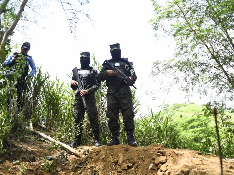 Ya suman 14 osamentas encontradas en este sector.