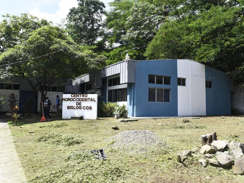 Las vacunas estaban almacenadas en frío en el Centro Noroccidental de Biológicos.