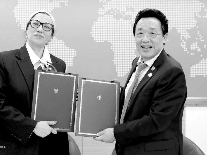 Las mejoras en los sistemas agroalimentarios