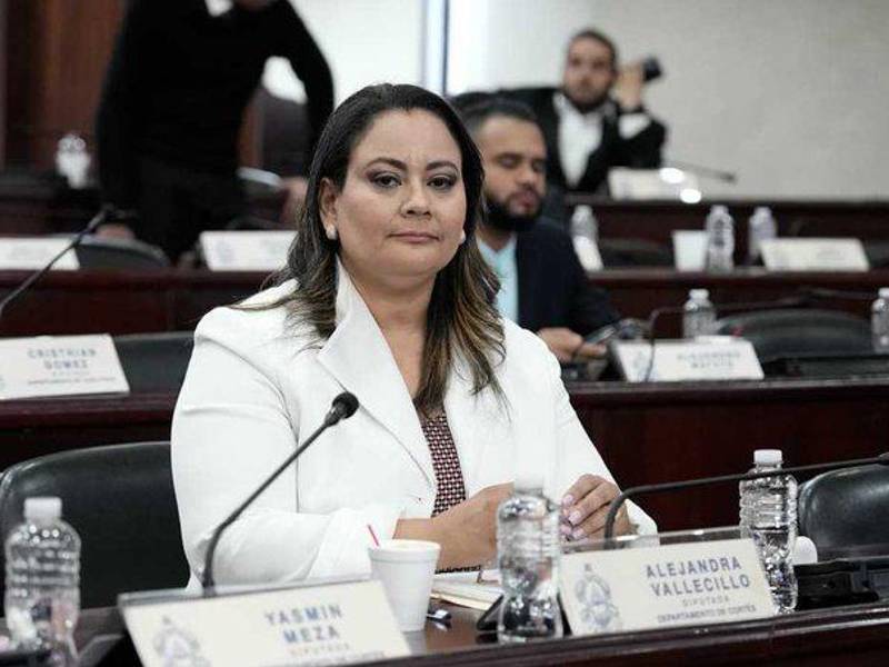 Diputada Alejandra Vallecillo.