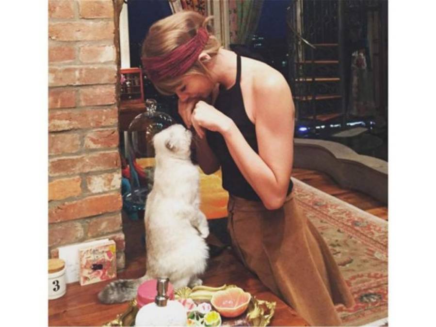 Taylor Swift jugando con su gato repiten en el top con 2,3 millones de me gusta de la foto en su apartamento de Nueva York.